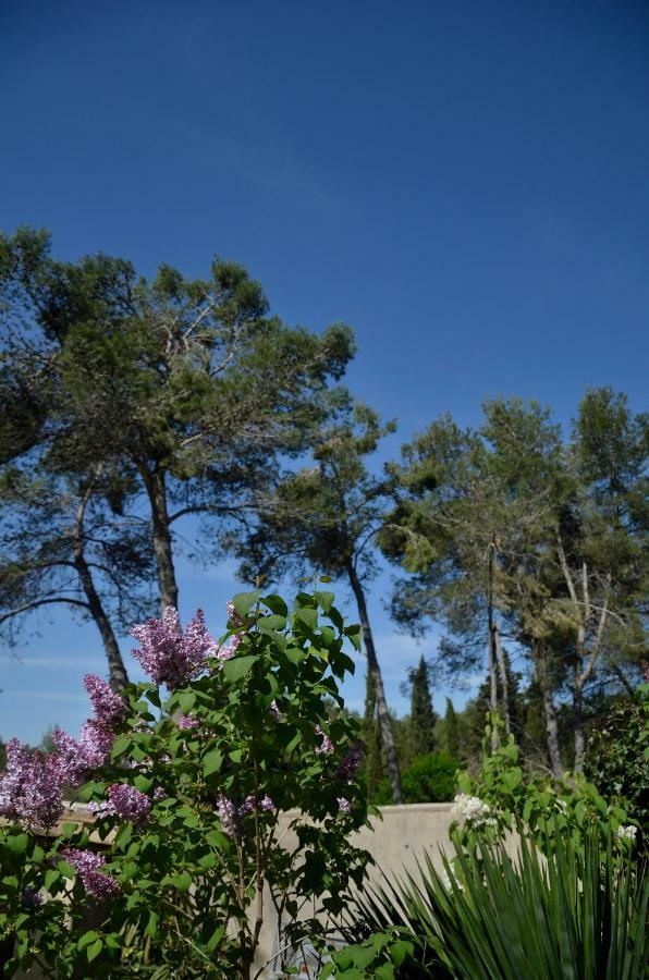Villa Mas du Puech Cymbale à Assas Extérieur photo