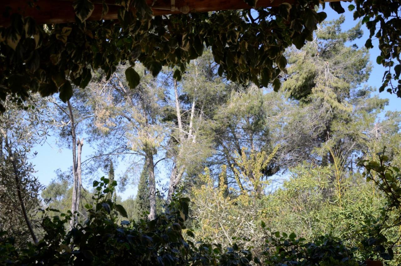 Villa Mas du Puech Cymbale à Assas Extérieur photo